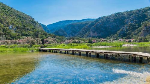 spring landscape from cala luna beach wooden walkway over the pond