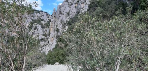 path or trekking route to the beach of Cala Luna