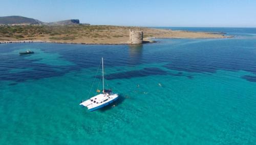 Catamarano di fronte alla torre de la Pelosa