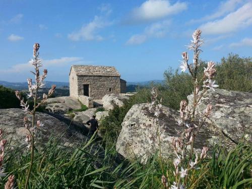 Blumen, kleines Haus und panorama in Luogosanto