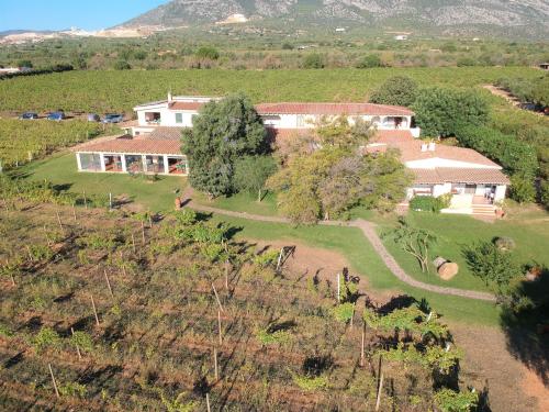 <p>Vue du vignoble sur le territoire d’Orosei</p><p><br></p>