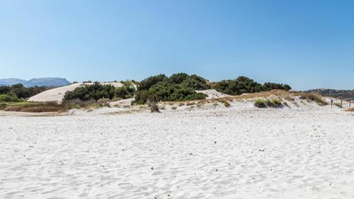 Expanse of dunes at Cape Comino