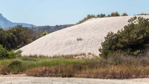 Sand dune in Capo Comino