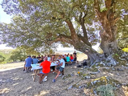 Hikers during lunch
