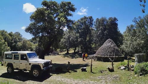 Off-road vehicle and typical straw hut