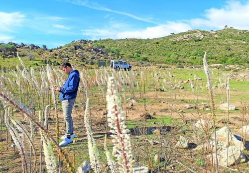 <p>Excursión en Jeep en la zona de Orosei</p><p><br></p>