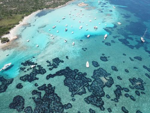 Panoramablick auf den La Maddalena Archipel