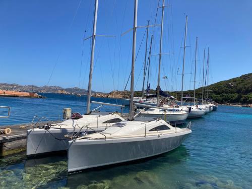 Barche a vela attraccate al porto de La Maddalena