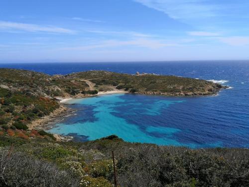 Blue sea at Asinara