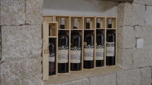Vins en bouteille de la cave de Muzanu