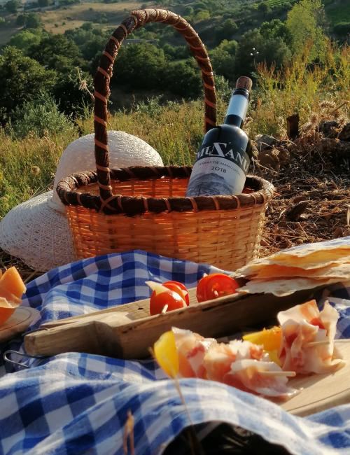 Tasting with wines and typical products in Mamoiada