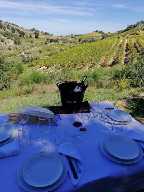 Tasting with wines and typical products in Mamoiada