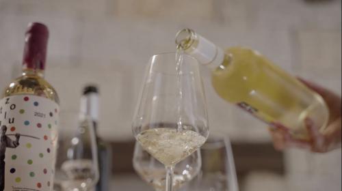 Vino bianco viene versato in un calice