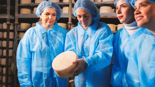 Participants observe the cheese wheel