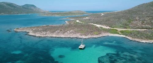 Catamaran arriving at Asinara