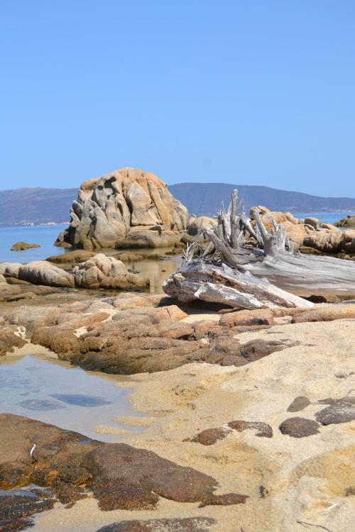 Felsen in Asinara