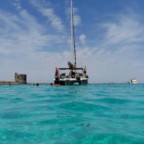 Catamaran in front of the Torre de la Pelosa