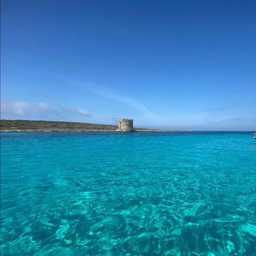 Crystal clear sea in front of la Pelosa