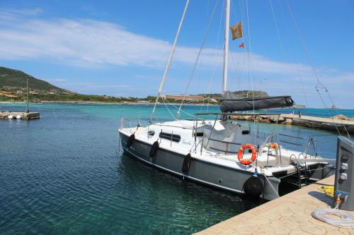 Catamarán en puerto en Stintino