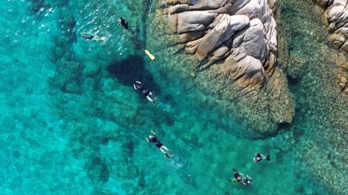 snorkel en las piscinas de Molara en el mar azul cristalino