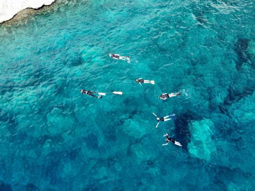 swimmers swim in the crystal blue waters of the Molara AMP pools