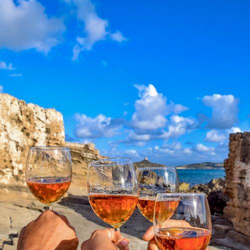 Glasses of wine served during the excursion