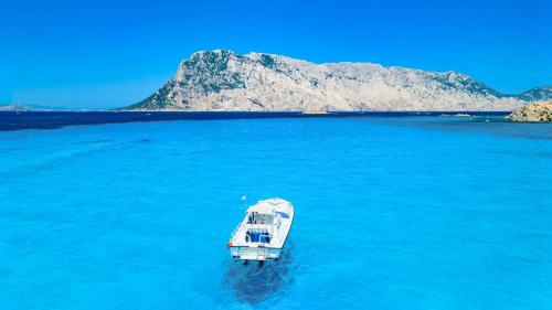 Boat sails to the island of Tavolara