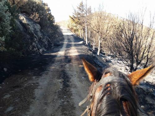 Trail for horseback riding in Irgoli