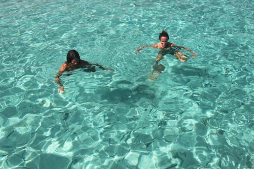Paar schwimmt in transparentem Wasser
