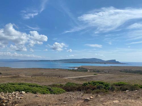 Asinara Panorama
