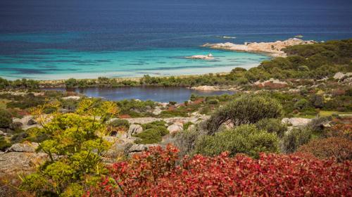 Sant'Andrea Cove in Asinara
