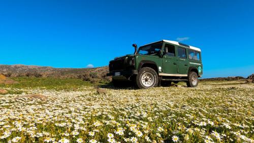 Off-road in the midst of flowers