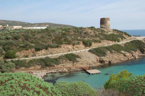 Asinara kristallklares Meer