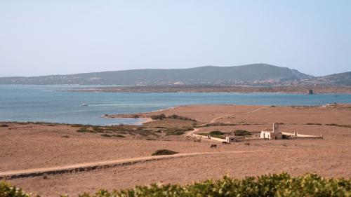 Panorama de l'Asinara