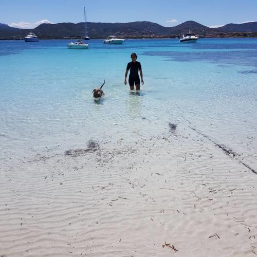 Ragazza con cane nel mare turchese della Costa Smeralda