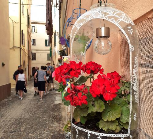 <p>Visite des rues caractéristiques de la ville d’Alghero avec guide</p>