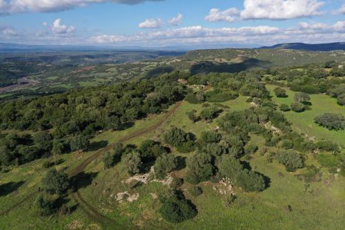 <p>Panoramabild von Arasseda in Allai</p><p><br></p>