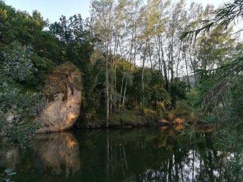 Tour guidato alla scoperta di Allai 