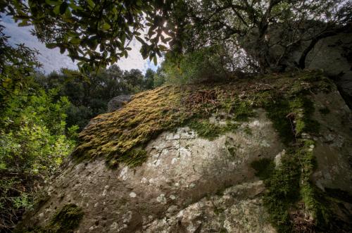 <p>Testimonio sobre la piedra en Allai</p><p><br></p>