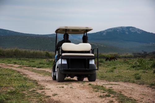 Guided excursion by electric car