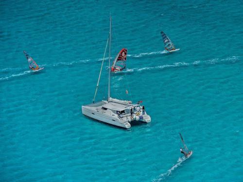 Catamaran and windsurfing