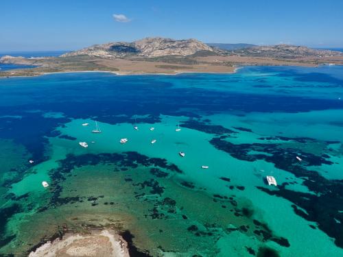 Asinara Islet