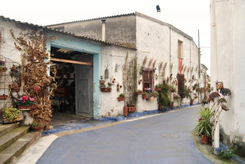 calle decorada con flores y plantas en San Sperate