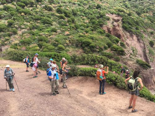 Group of hikers during trekking