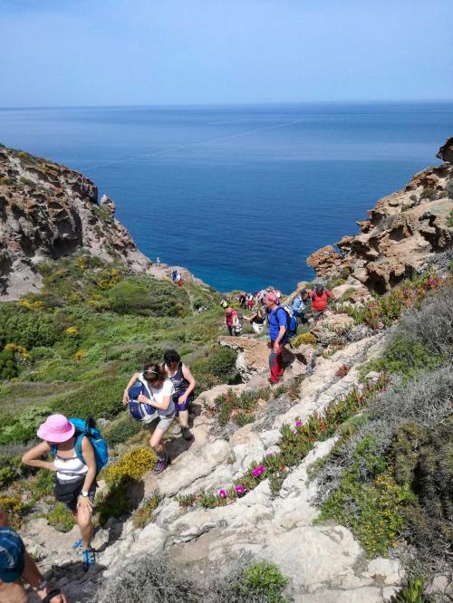 Group of hikers