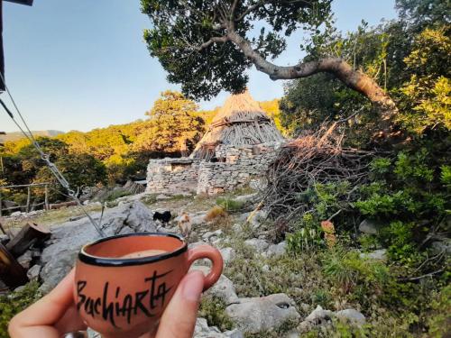 Bergerie en Ogliastra