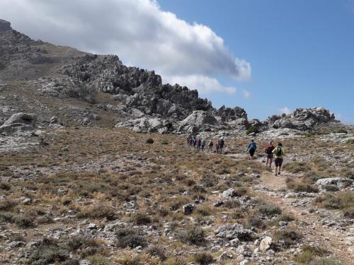 Escursione di trekking nel Monte Corrasi