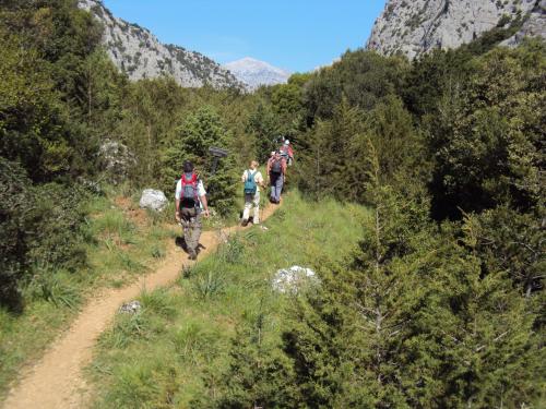 Excursionistas en el sendero Surtana durante una excursión de trekking