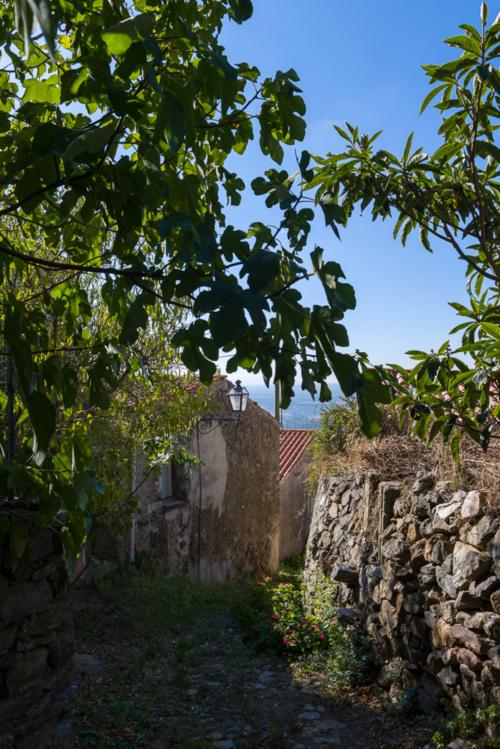 rue caractéristique dans le village vert de Bolotana