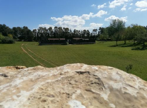 Museo Castrum Romano 
